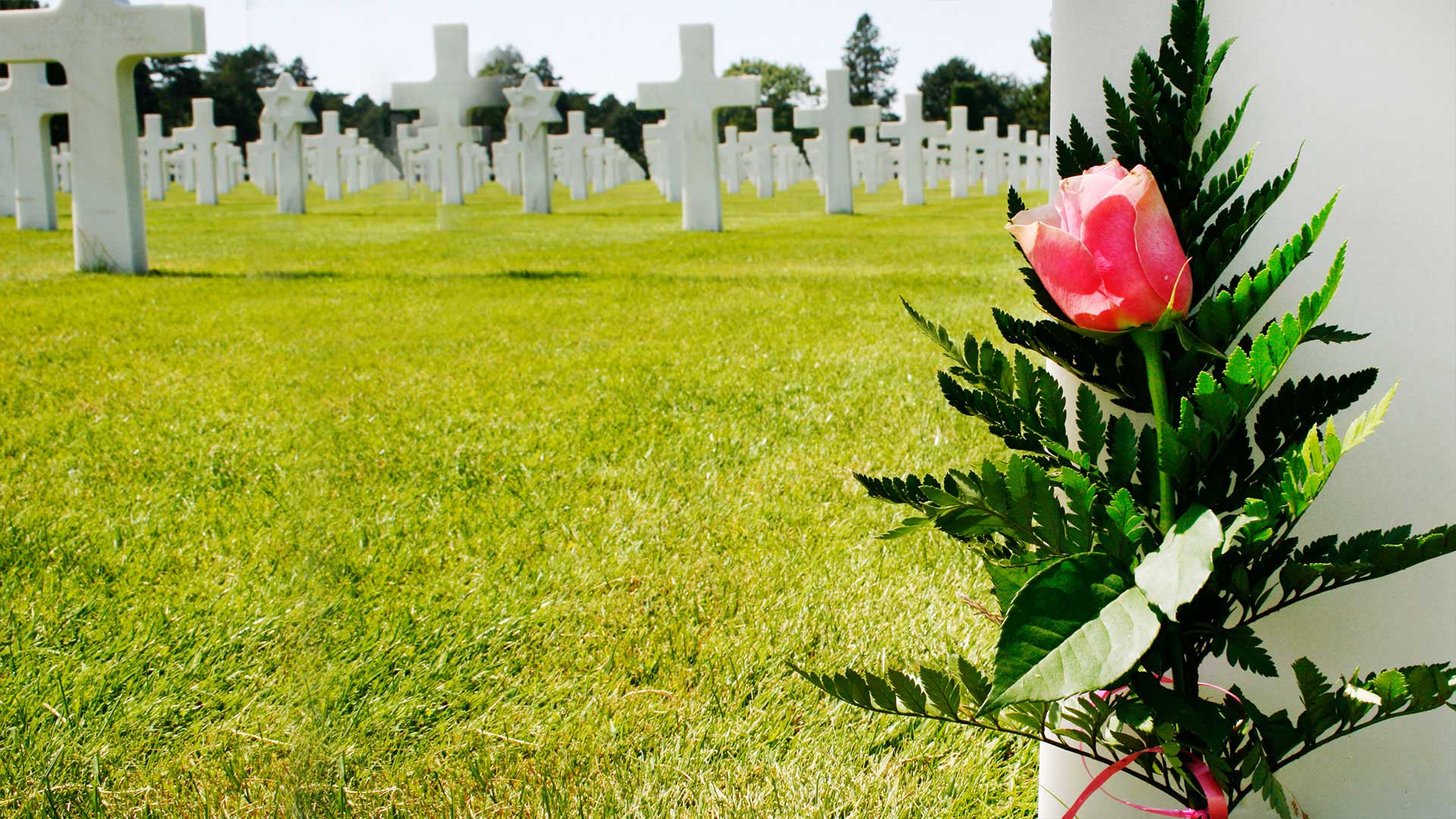 Long Island Memorials Custom Monuments Hand Sculpture Carvings